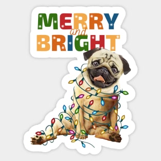 Pug and Christmas lights and HO HO HO! Pug lovers Christmas time Sticker